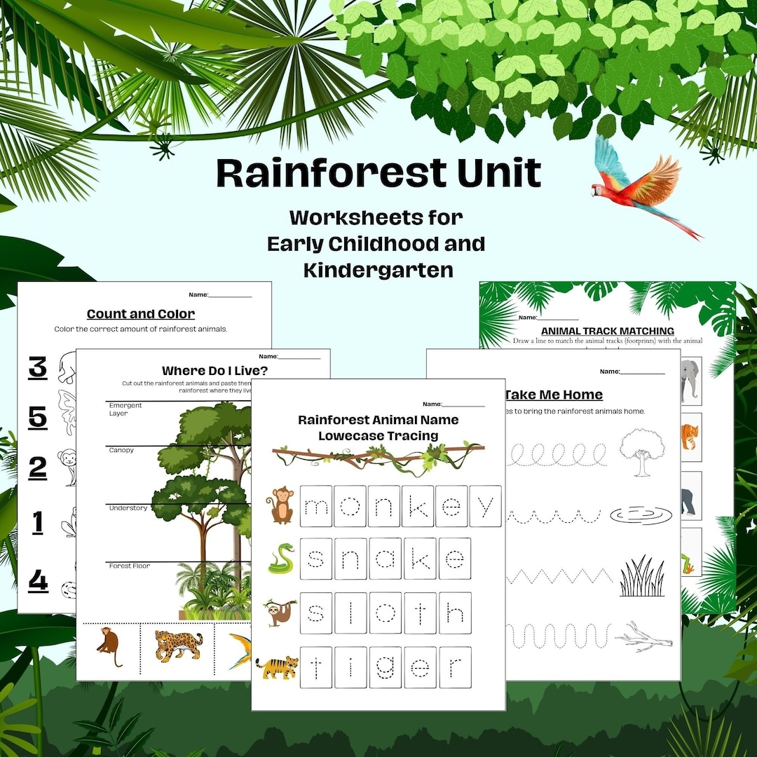 Rainforest Curriculum Printable Worksheets For Preschool Prek Kindergarten Etsy