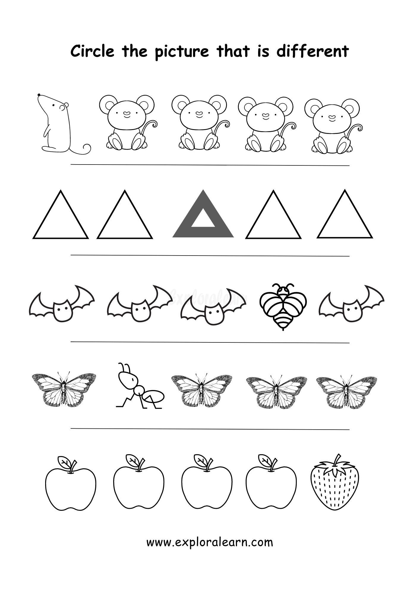 Same And Different Comparison Worksheets For Preschool And Kindergarten 2 To 6 Years Kids
