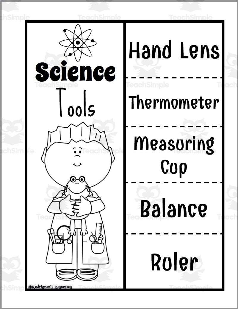 Science Tools In Kindergarten Worksheets Library Science Tools In Kindergarten Worksheets Library
