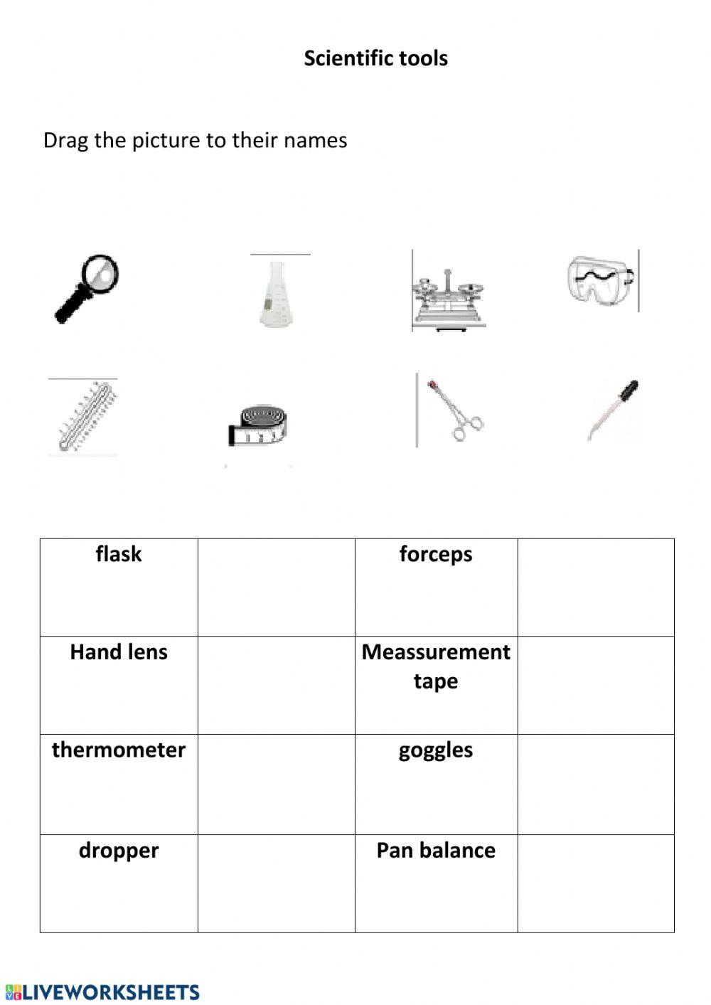 Free Kindergarten Science Tools Worksheet Free Kindergarten Science Tools Worksheet