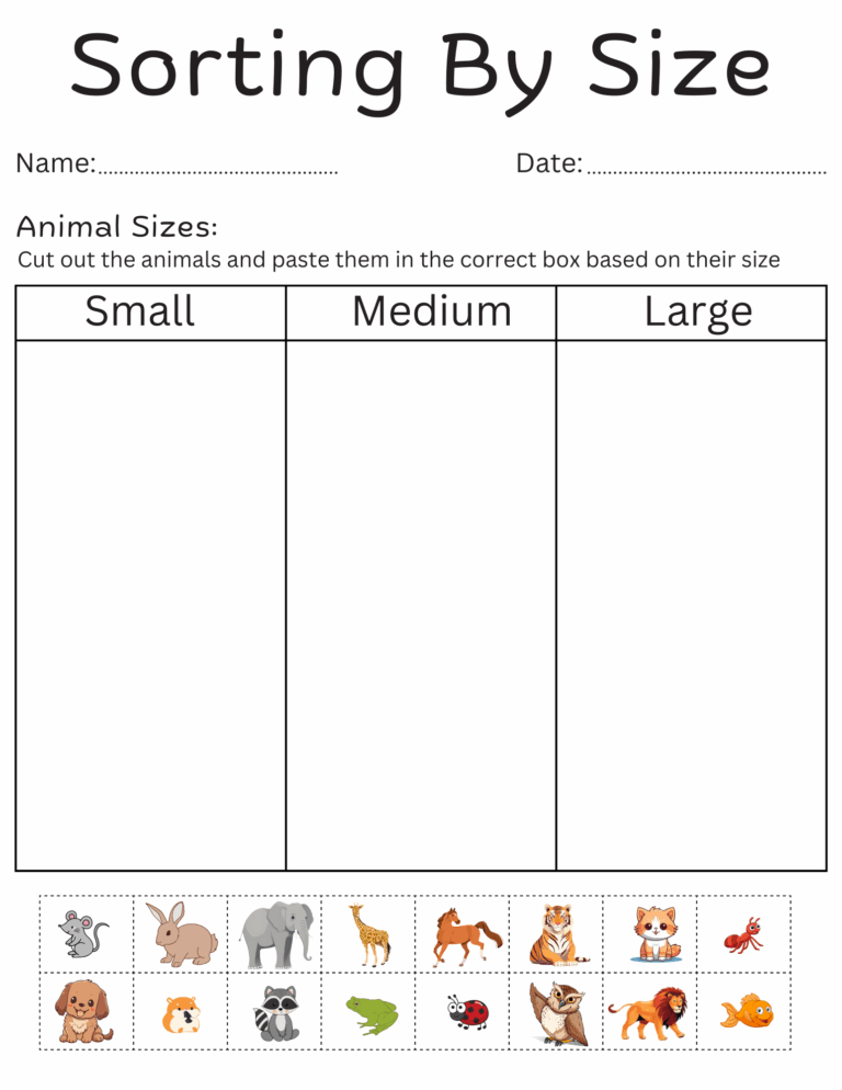 Sorting By Size Worksheets For Kindergarten Printable Sorting By