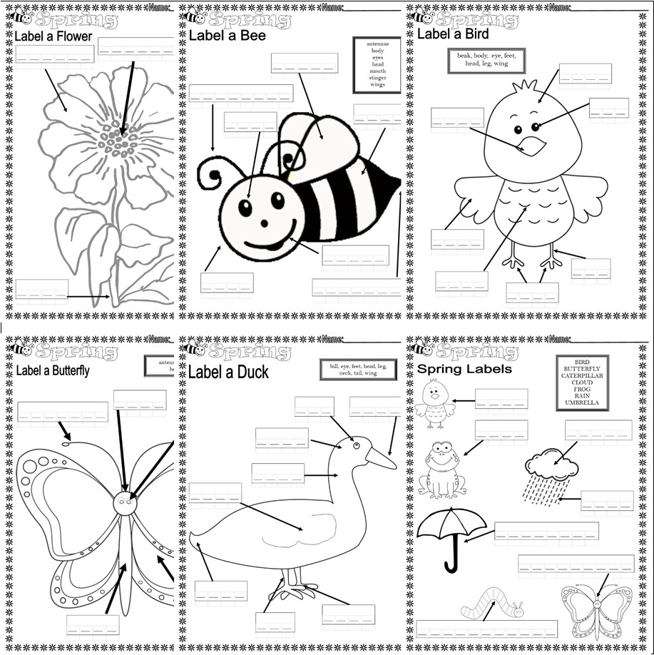 Spring NO PREP Worksheets Vocabulary Spelling Word Search Sub 