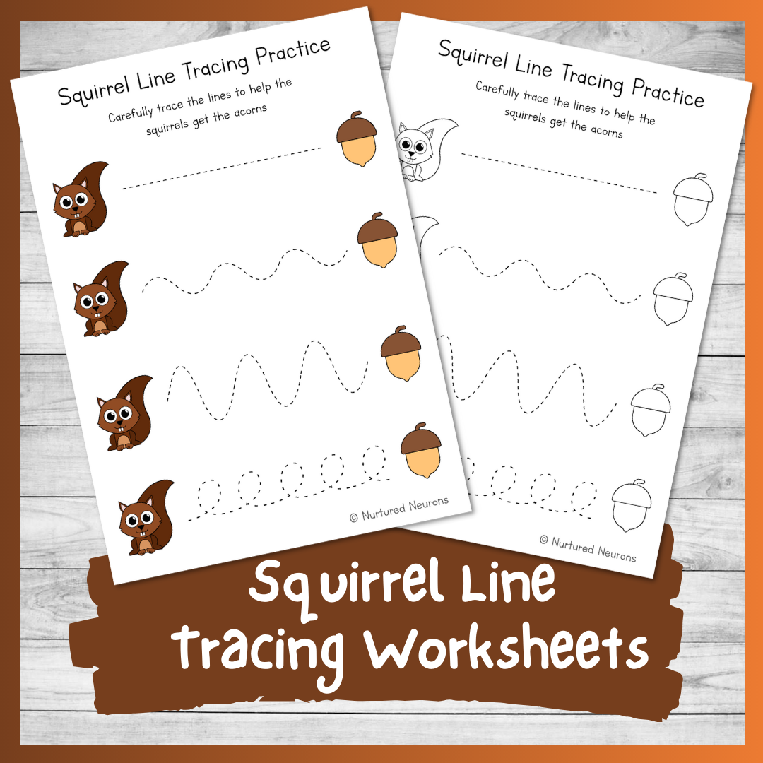 Squirrel Line Tracing Worksheets Preschool Printable Nurtured 