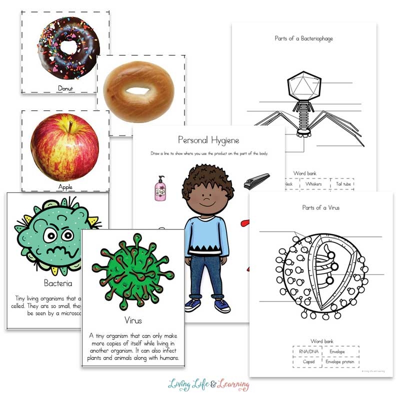 Teeth And Dental Health Activities And Printables Worksheetszone Worksheets Library