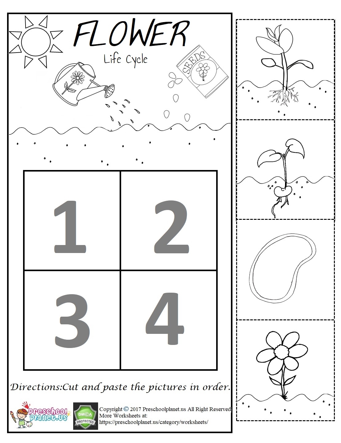 The 5 Best WORKSHEETS For FLOWERS Preschool Theme Preschool