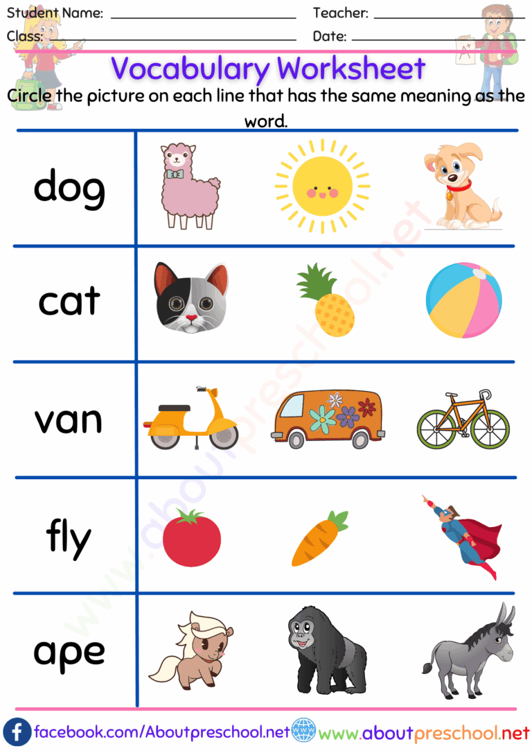 Vocabulary Worksheets About Preschool