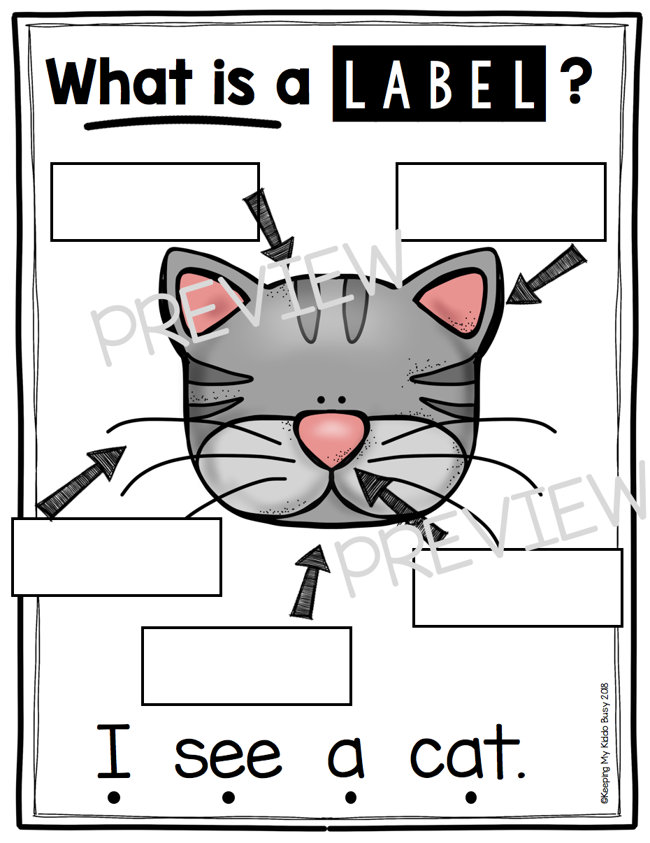 Writing At The Beginning Of The Year In Kindergarten LABELING FREEBIE Keeping My Kiddo Busy