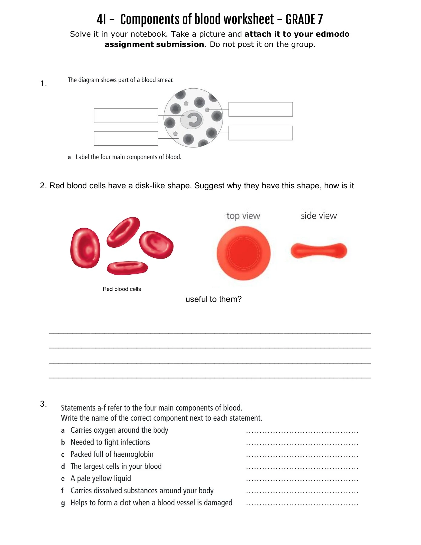 Free Printable Blood Worksheets Free Printable Blood Worksheets