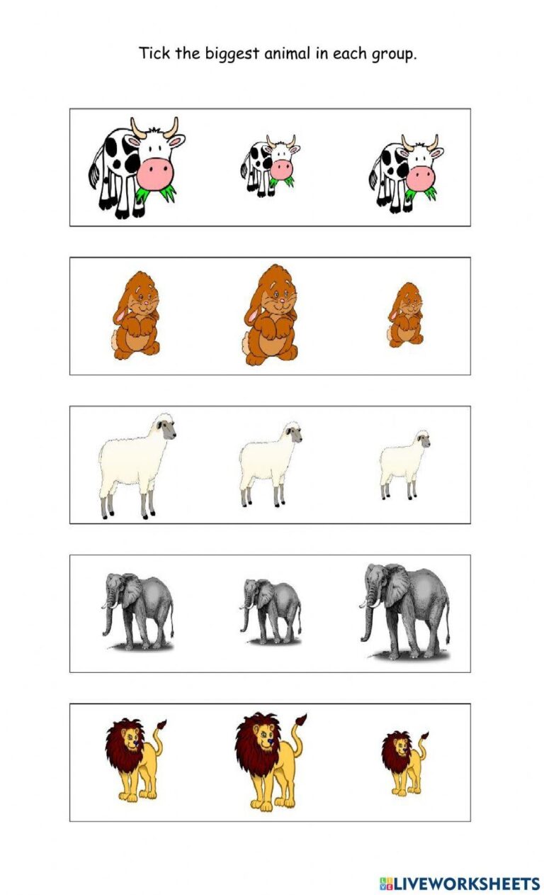 Big Bigger Bi Free Interactive Worksheets 1481008
