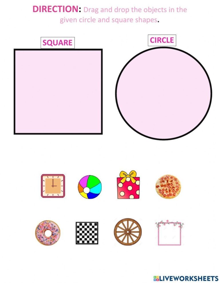 Circle And Squa Free Interactive Worksheets 728049