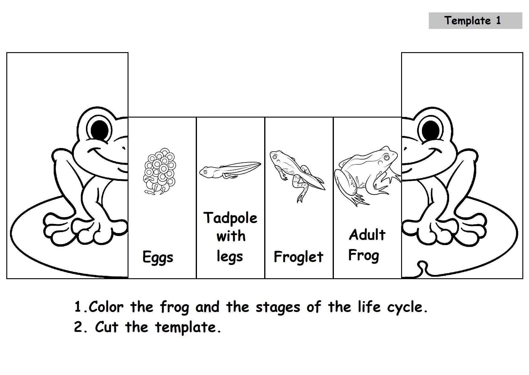 Frog Life Cycle Printable Preschool Frog Life Cycle Printable Preschool