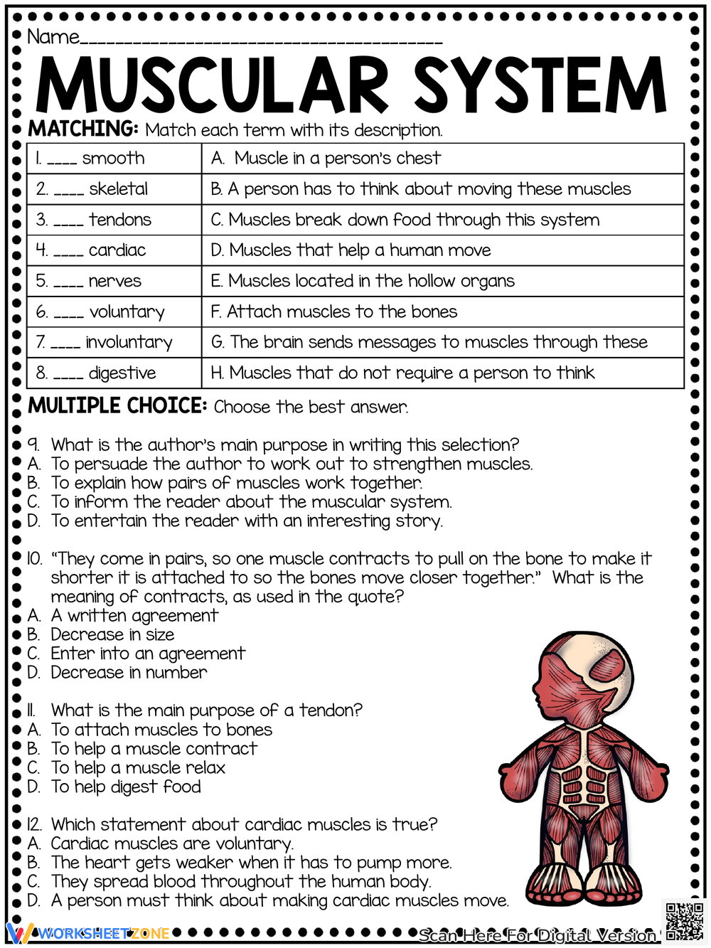 Muscular System Reading Comprehension Worksheet Muscular System Reading Comprehension Worksheet