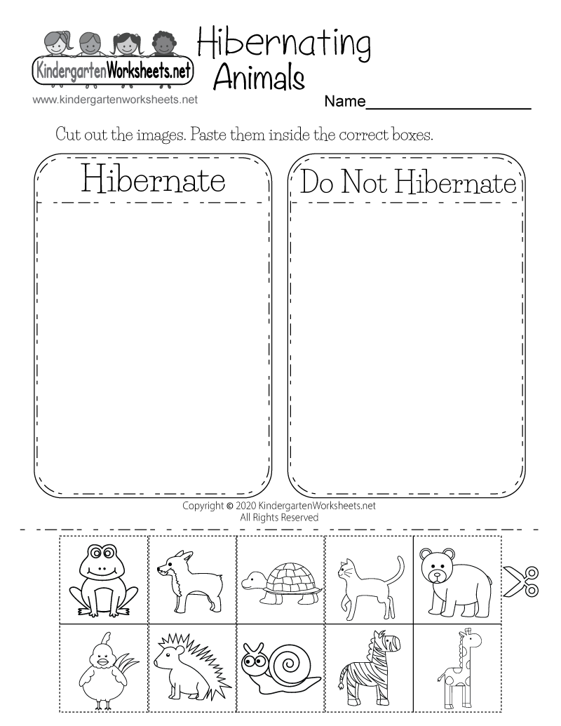 Hibernation Worksheet For Preschool Hibernation Worksheet For Preschool