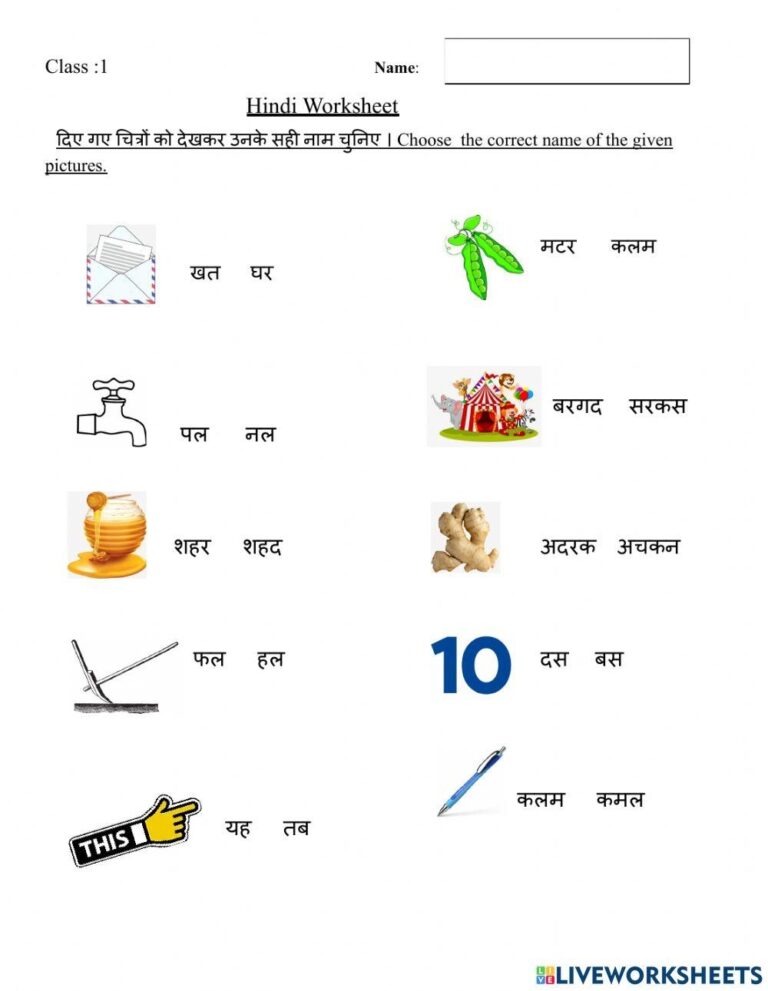 Hindi Worksheet Free Interactive Worksheets 2126479
