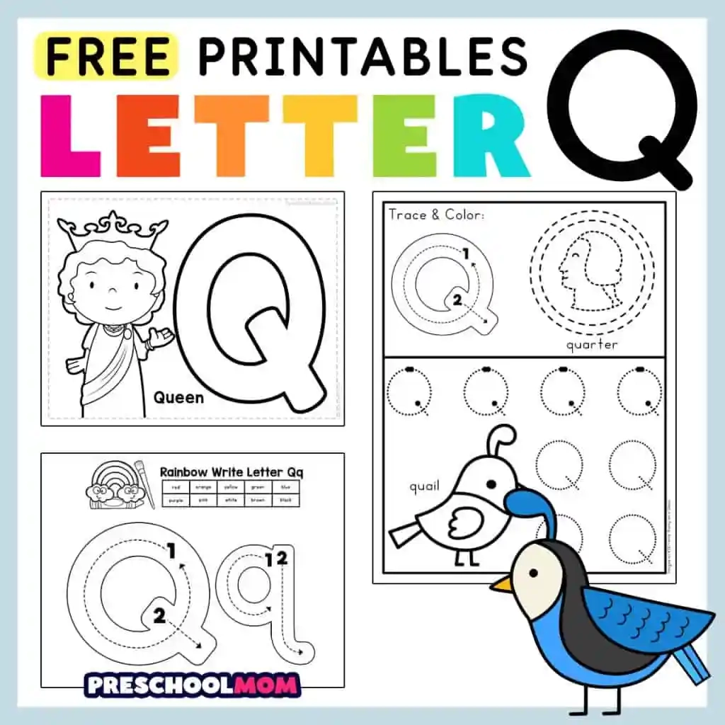 Worksheets Letter Q Activities For Preschool