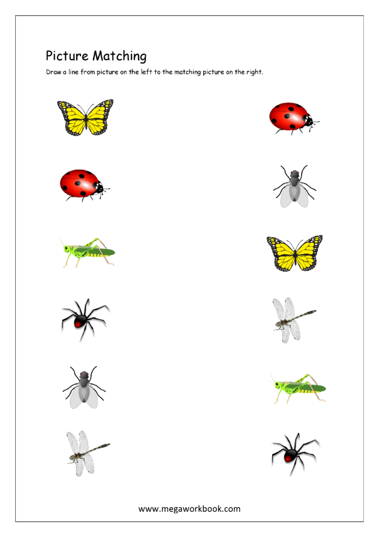 Picture Matching Worksheets For Preschool Free Logical Thinking 