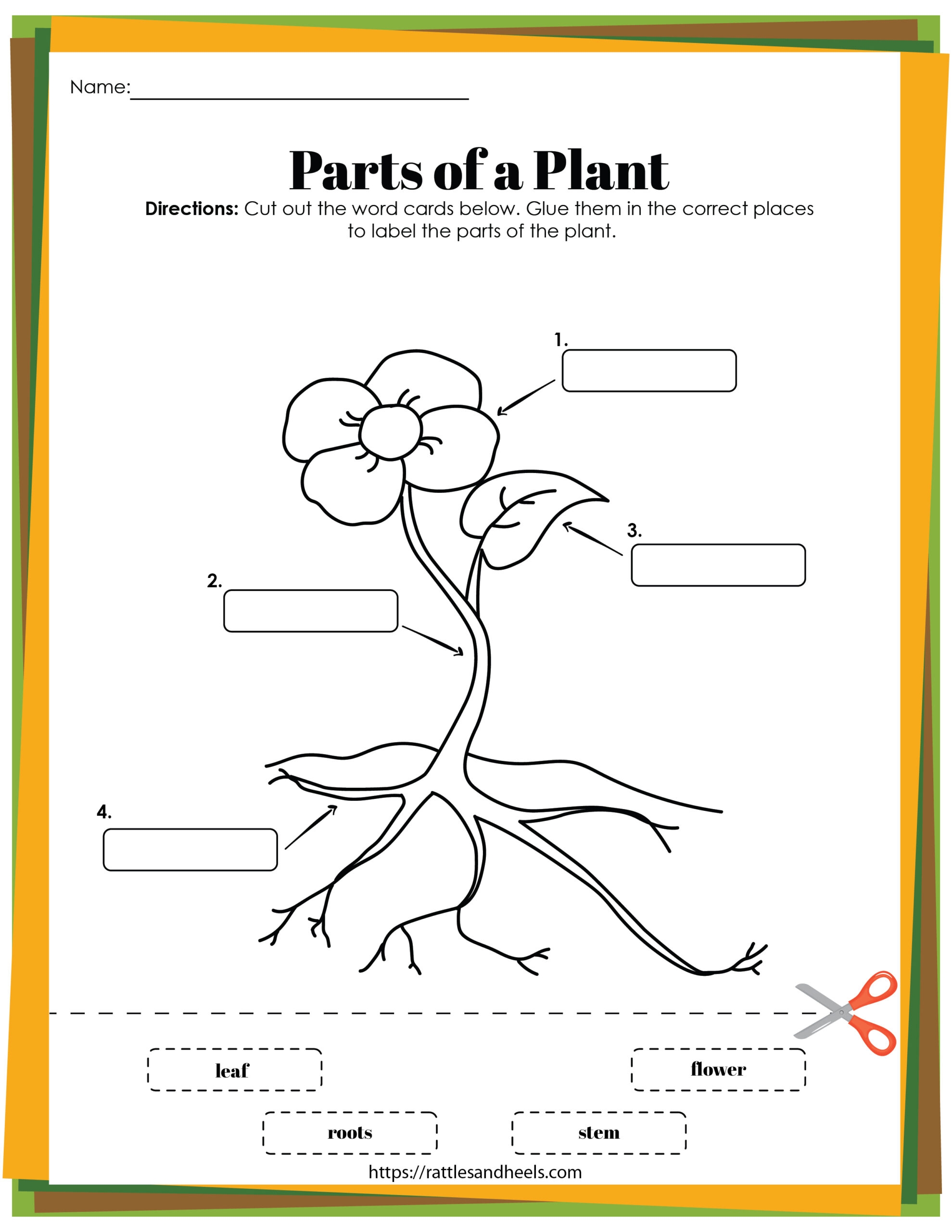 Free Printable Plant Life Cycle Worksheets Free Printable Plant Life Cycle Worksheets