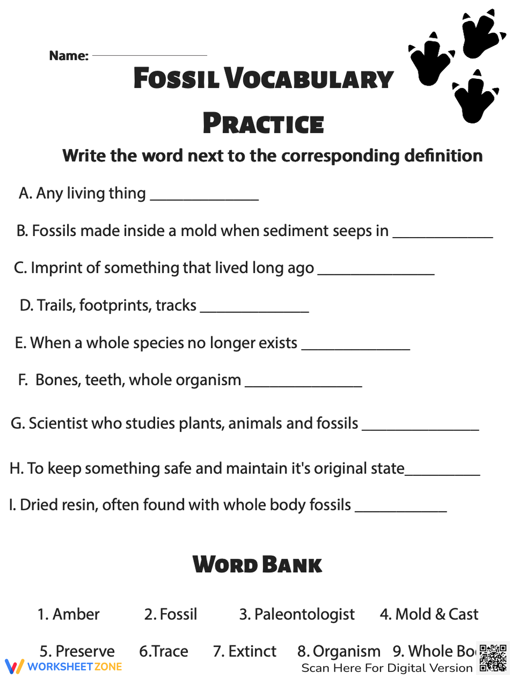 Free Fossil Worksheets 2nd Grade Free Fossil Worksheets 2nd Grade