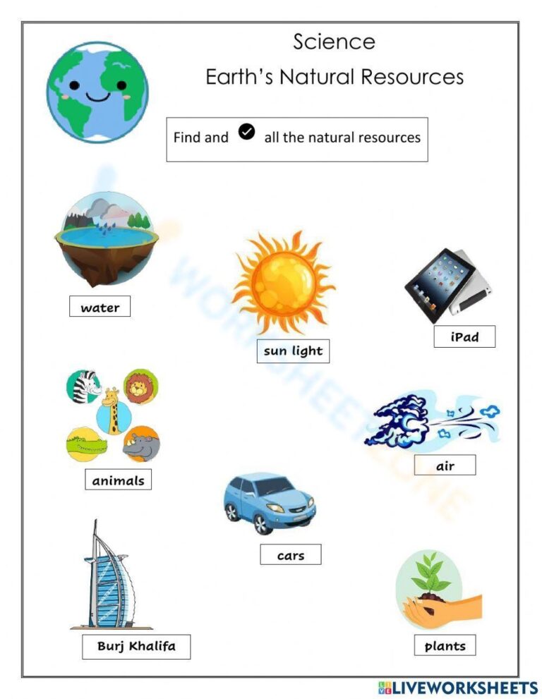 Printable Grade 3 Earth Science Worksheets